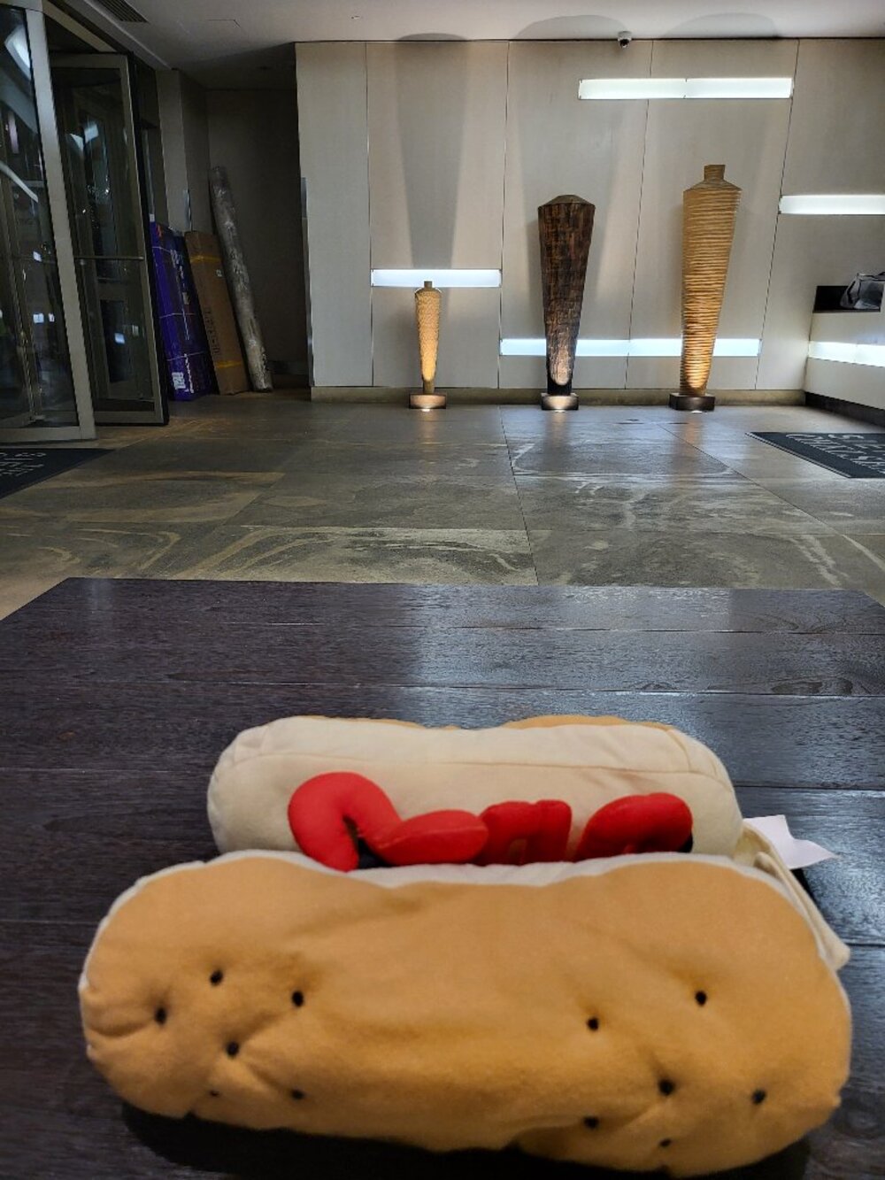 Dog hotdog halloween costume